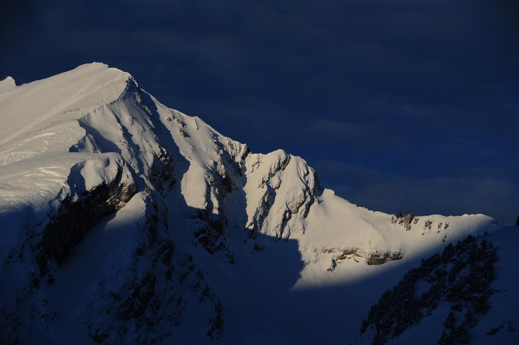 Hotel Le Relais Alpin Les Mosses Екстер'єр фото
