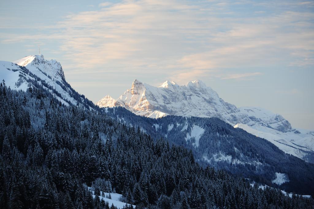 Hotel Le Relais Alpin Les Mosses Екстер'єр фото